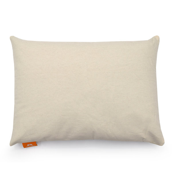 Buckwheat Firm Pillow Wayfair